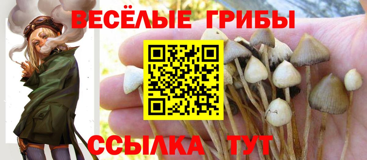 Новокуйбышевск  Псилоцибиновые грибы прущие грибы  Псилоцибиновые грибы мицелий  Вход с VPN 